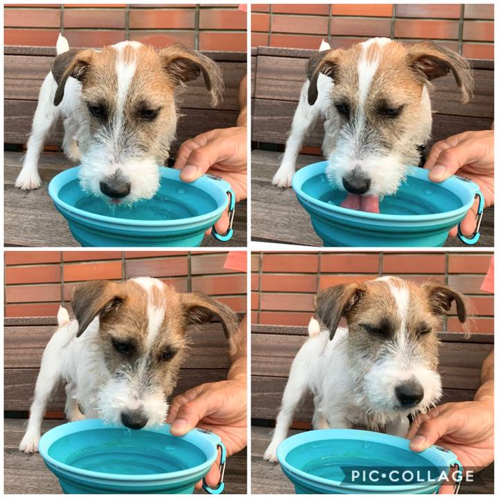 Ec37c92e c6e3 45e7 97c6 dd85ef775b81 1564325558608