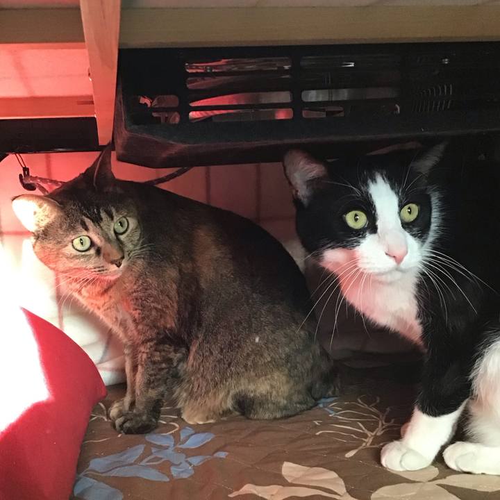 Ec37e21b 4e26 4cc4 af22 83995b9e6059 1761209023581