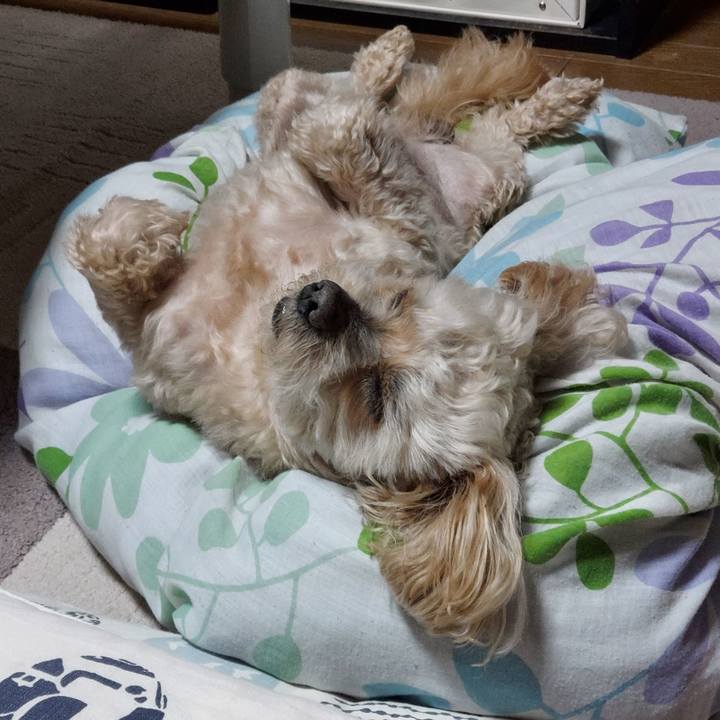 Ec381153 4ec2 49f2 942e 162d25e86c75 1686524323775