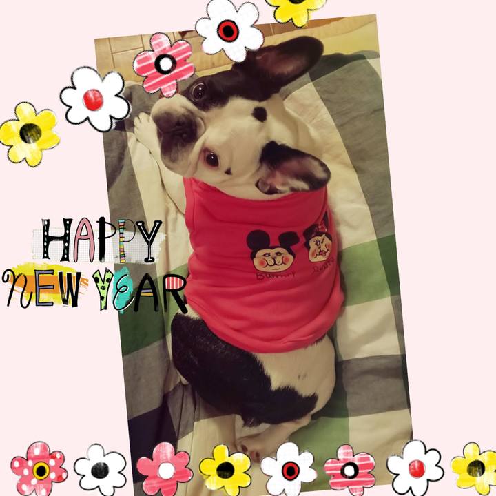 Ec383da2 5ace 4a61 8631 4ba83d3261c8 1572097987175