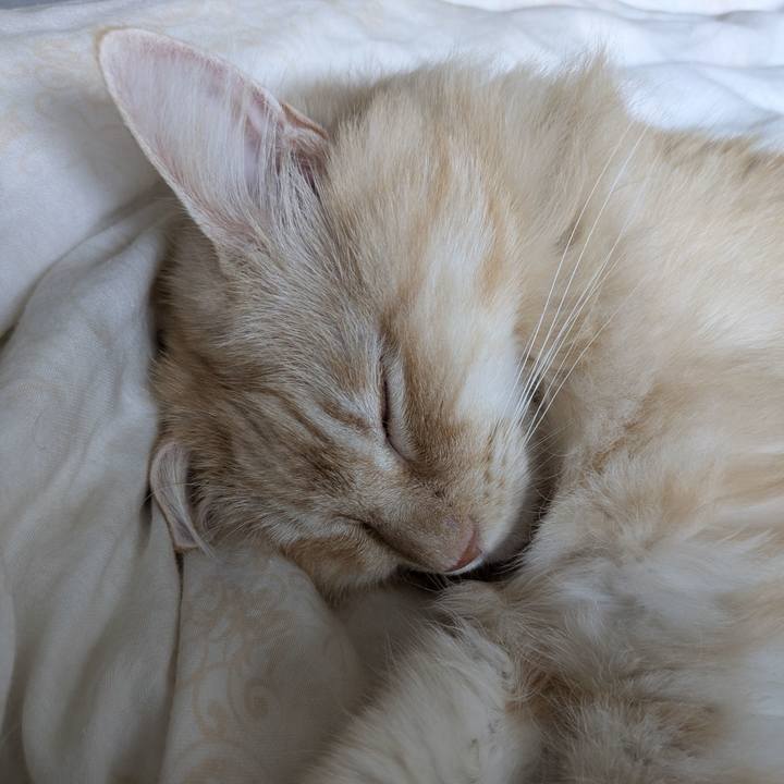 Ec388656 2622 438d a134 63d9f5b8e39e 1760918914557