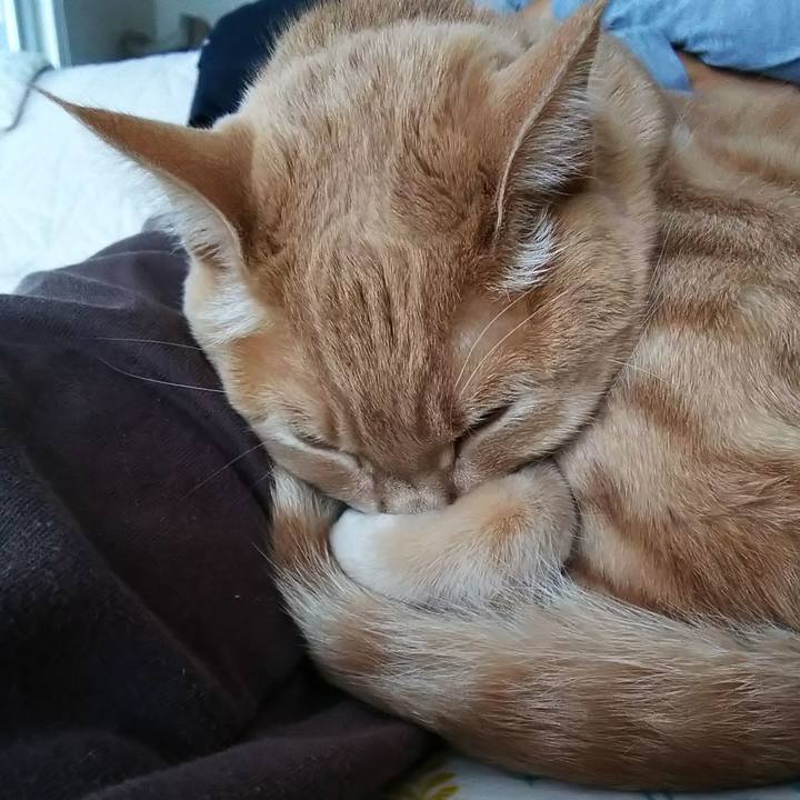 Ec38ceb8 3bdf 455f a62d 2891784e7579 1577831063647