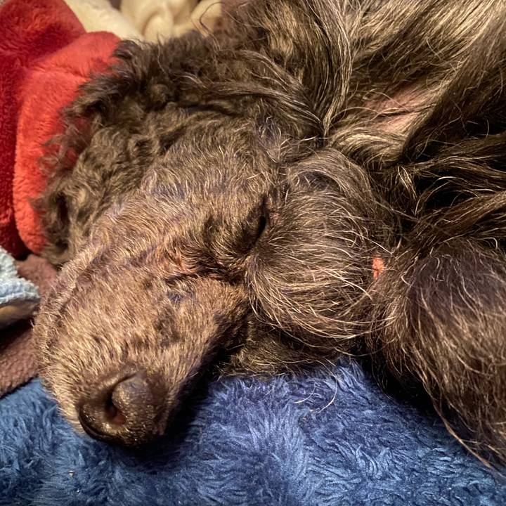 Ec39015e 988b 4584 baf5 85d4ca07f4a5 1675030348818