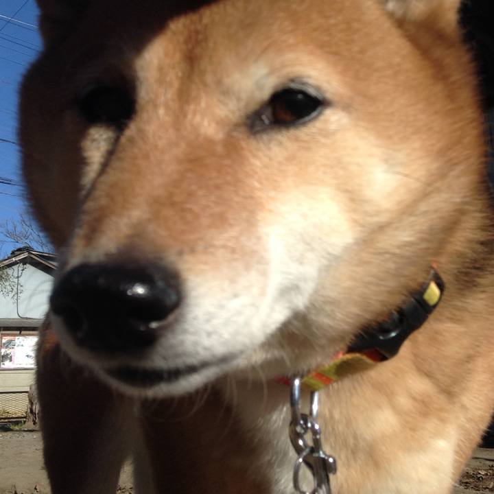 Ec392241 1380 4532 b905 45d9897b5b6b 1515028652967