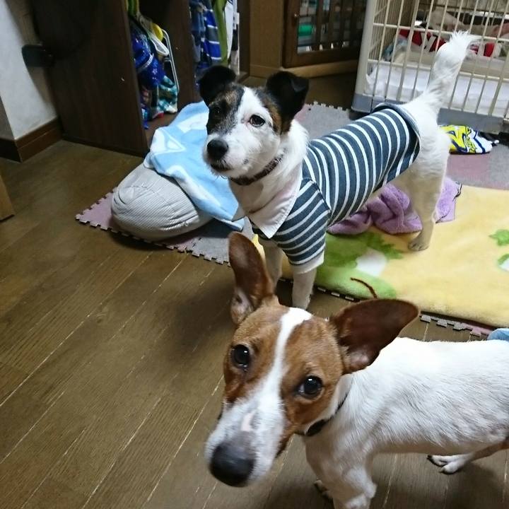 Ec394d88 e09d 4adb 81d6 ccb4203ed1d0 1525213659676