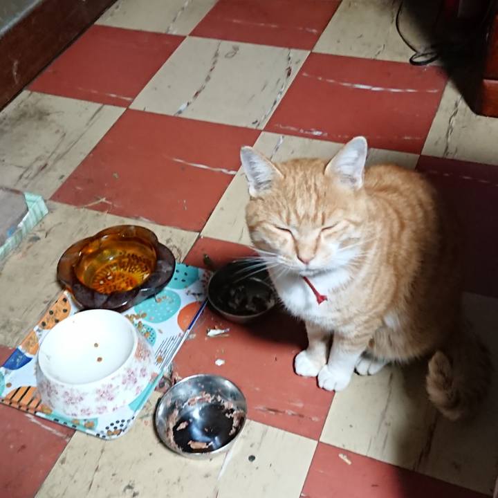 Ec396212 8f99 482a a4f3 aa52a2a0aaf0 1574110752492