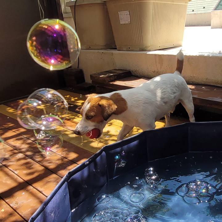 Ec39694e 4b5b 4643 a571 97e986975e87 1691146068601