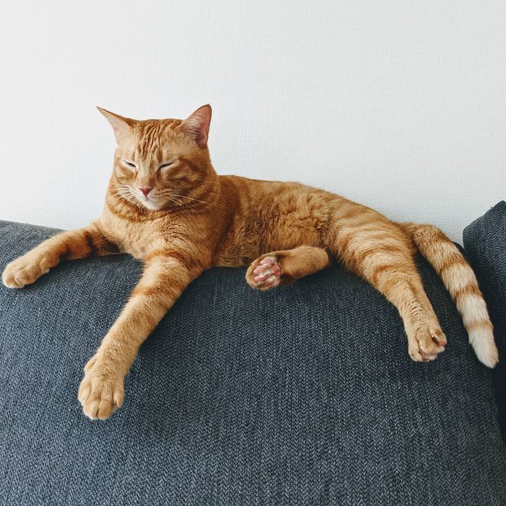 Ec39754a abd0 4544 b845 8bad5bb56ebd 1631925287261