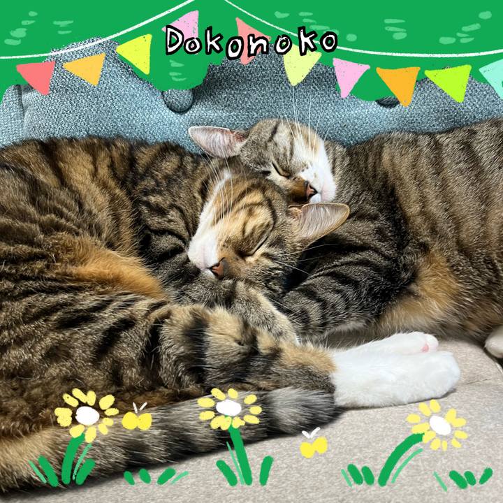 Ec39775f 4c6f 44d2 ba0a b76b1d0ebcdb 1711539572837