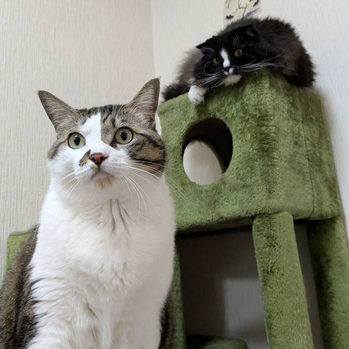 Ec3984a7 181d 46dd 9129 e304a289a9b6 1737893901661