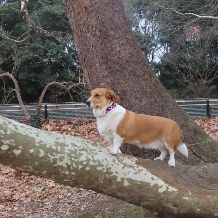 Ec399902 a807 4af6 8d1b 6a01ff3c7aae 1642987636426