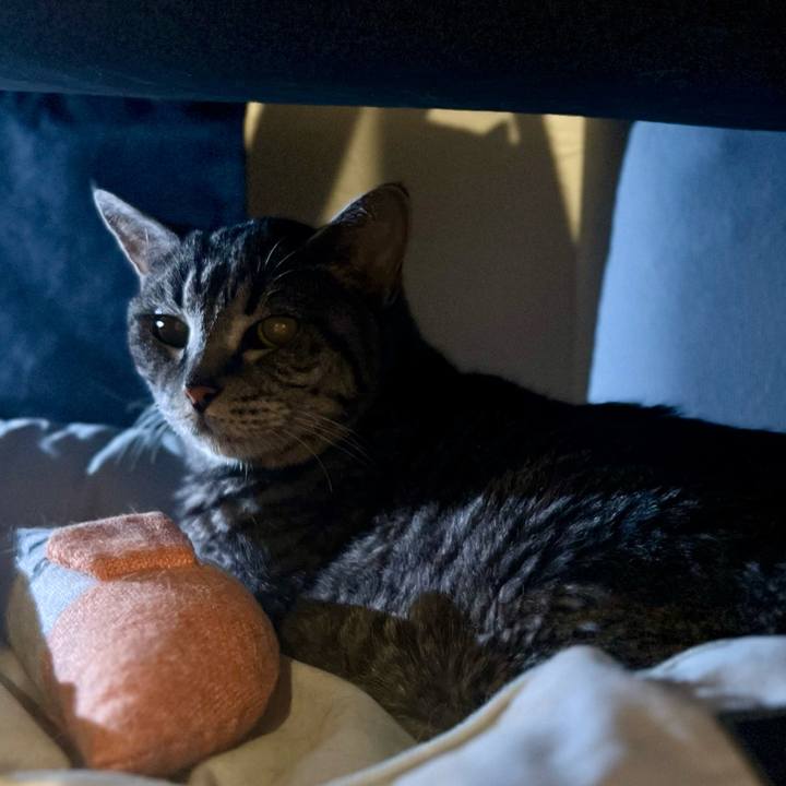 Ec399bd0 888e 4573 90f2 8a14188f607f 1759571990395