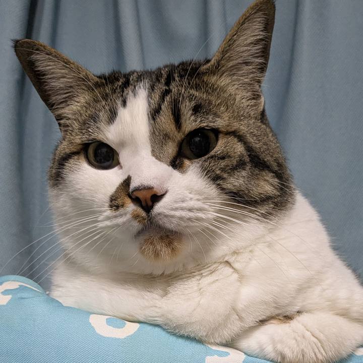 Ec39d6aa 835e 42bf aedc 8badffe99dd1 1747692703050