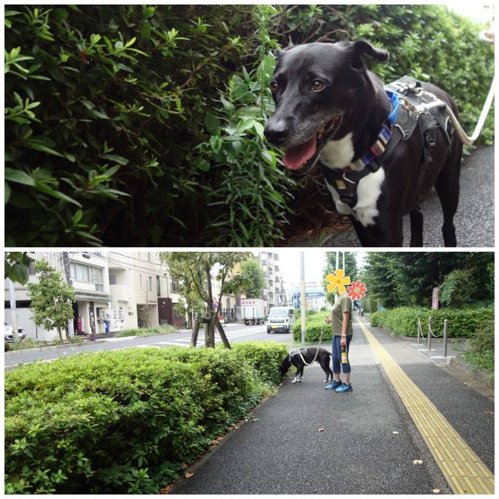 Ec39f169 1e77 4b3f 96f6 3a4eae0c32fc 1661473854313