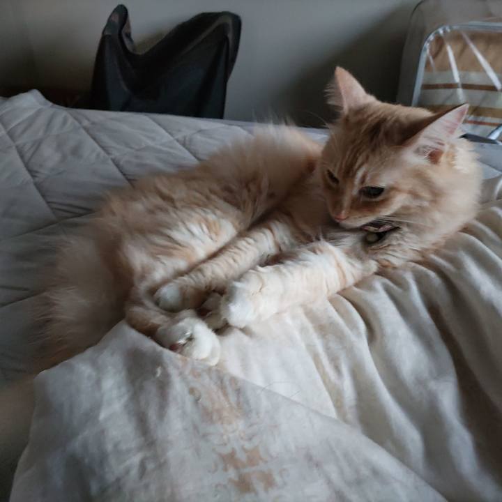 Ec3a0e88 acd8 4723 9519 4c7e6e123518 1695765013749