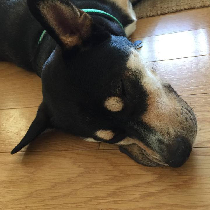 Ec3a10c7 2a67 4423 b65d 1f448fb7d4da 1537331911459