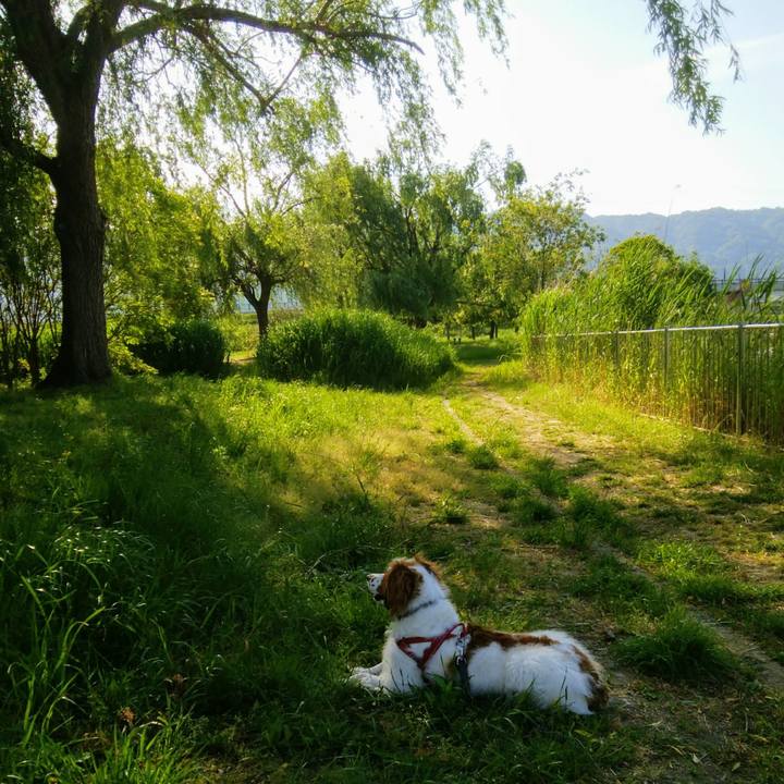 Ec3a22a6 640e 4951 b8e7 e5c7bf0deeda 1558236418753