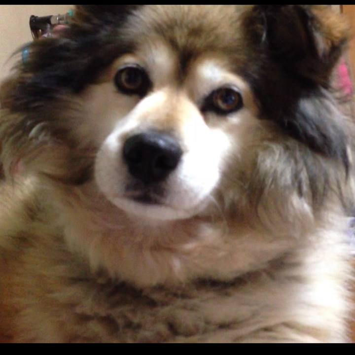 Ec3a318a c9bc 4f4d a49c aa701aac8ffd 1646930678690