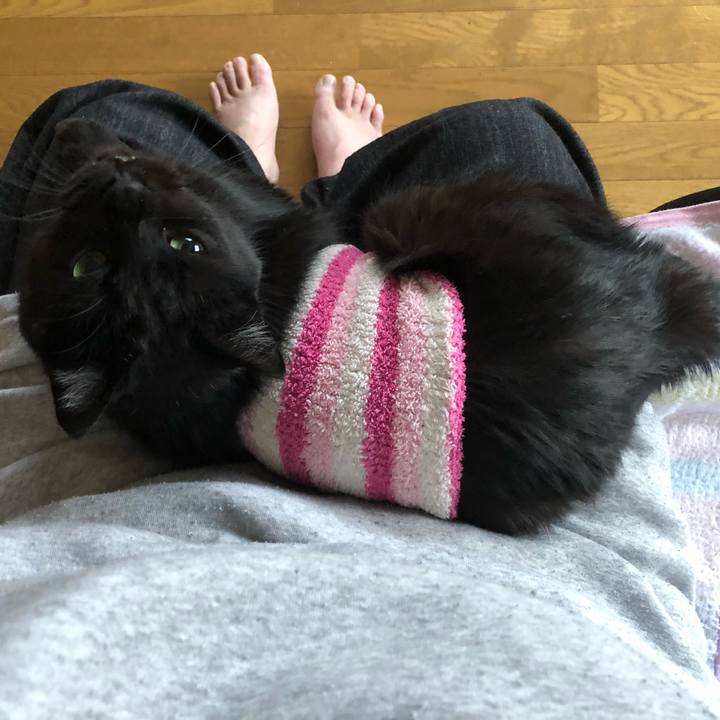 Ec3a8c36 559c 4955 a575 b070505b779b 1587545743272