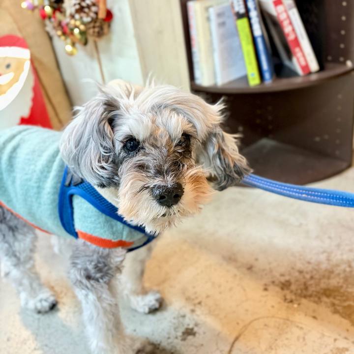 Ec3abeea 1f68 4228 b33d b237bd2f1375 1765278528764