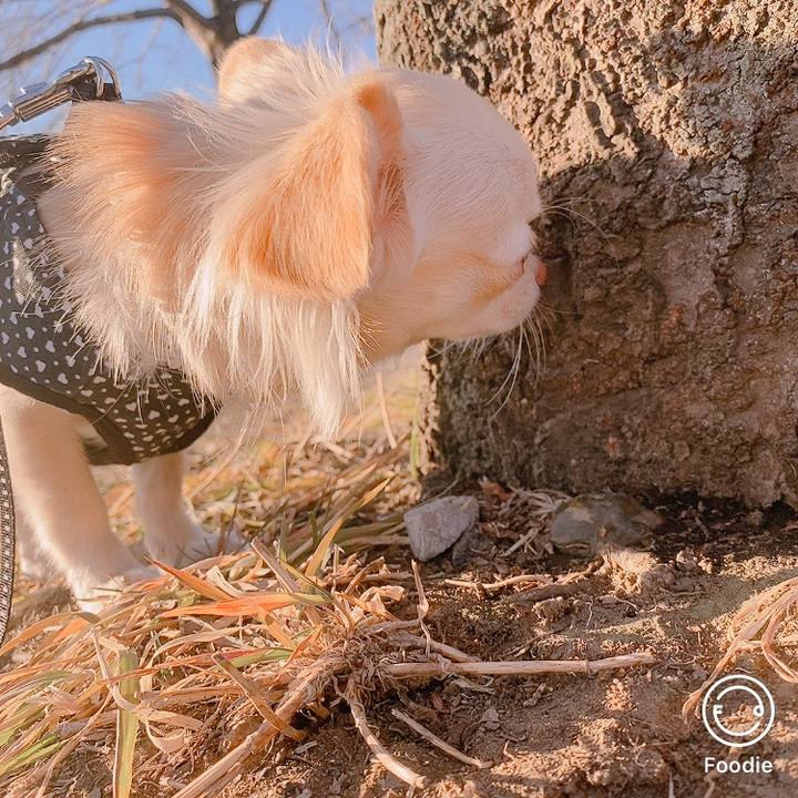 Ec3ac885 9236 495c ba0a 82cda7695306 1608718183231