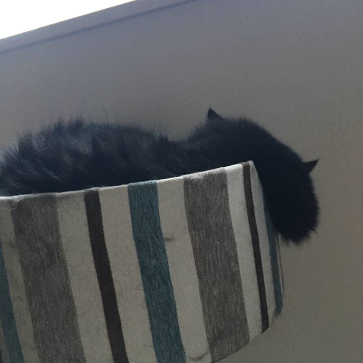 Ec3aeeb8 16bd 448b b90e 3824a16489fb 1534421795620