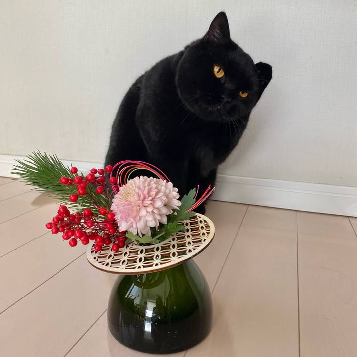 Ec3b0baf b15e 4114 b903 fbabd948ffd0 1672529500609