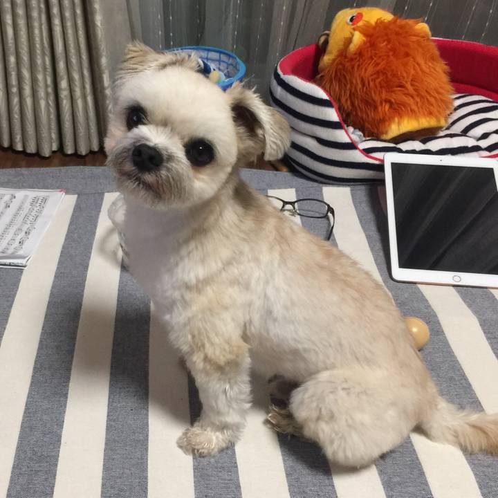 Ec3b146c 1a47 49f3 b83c f545e855e58d 1530617428244