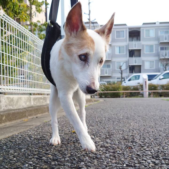 Ec3b26d3 9ee6 4742 9df3 514f26d5a096 1774609838749