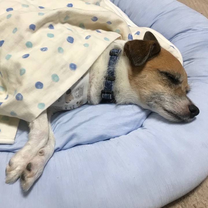 Ec3b3ba0 a12d 4c59 bc6d a48c4a8f8f98 1535031193848