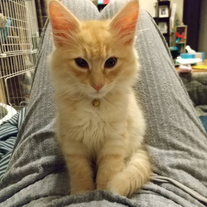 Ec3b47fb 06e1 43d1 a188 0788ed169f5f 1604842757819