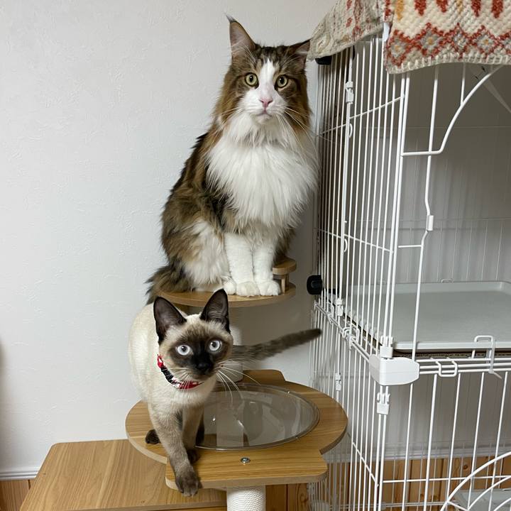 Ec3b956b e090 4546 9d90 1553656c4230 1701631834077