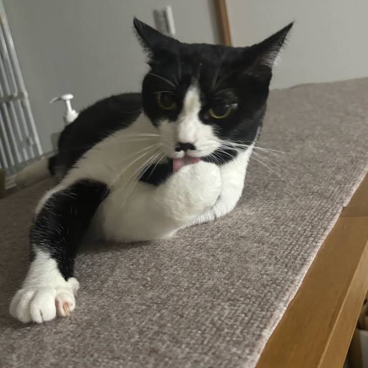 Ec3b95fd 9386 4e5a a356 17036d3b7abb 1756603223540