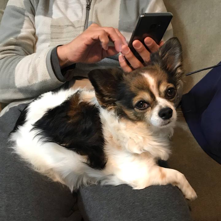 Ec3ba976 b063 4f43 b176 8eb0857d5465 1582285558170