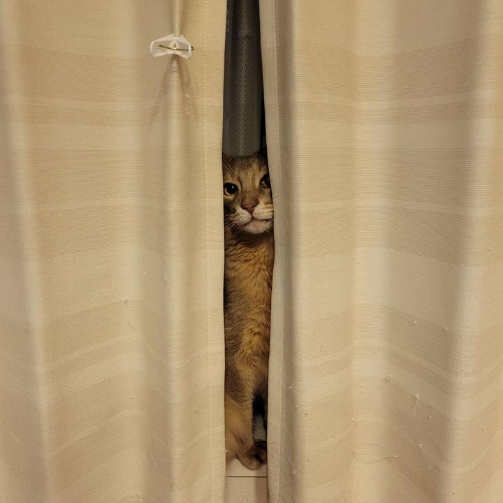 Ec3bbbdc b343 44b5 8f05 1bb527b6fc21 1638189005509