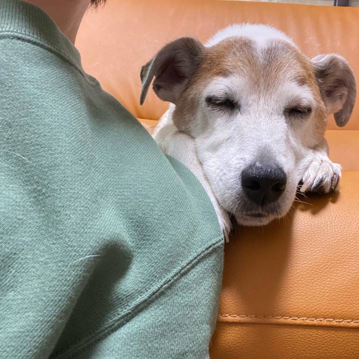 Ec3bcc37 b754 4cfd 80fb 52830a747674 1617541610735