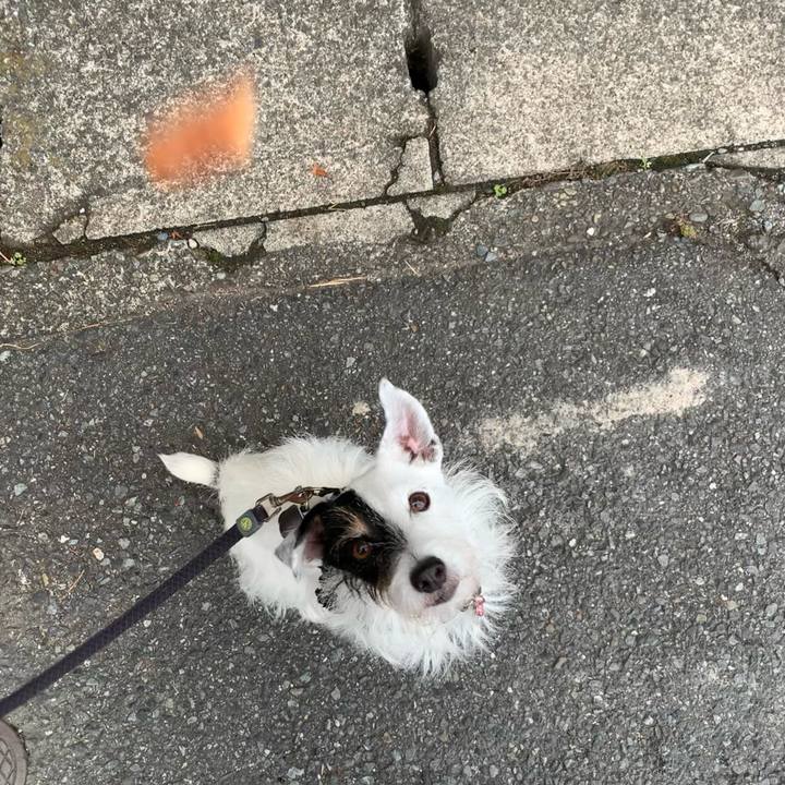 Ec3bdde1 316b 435b 84bd 7de62f55c3c8 1699833324848