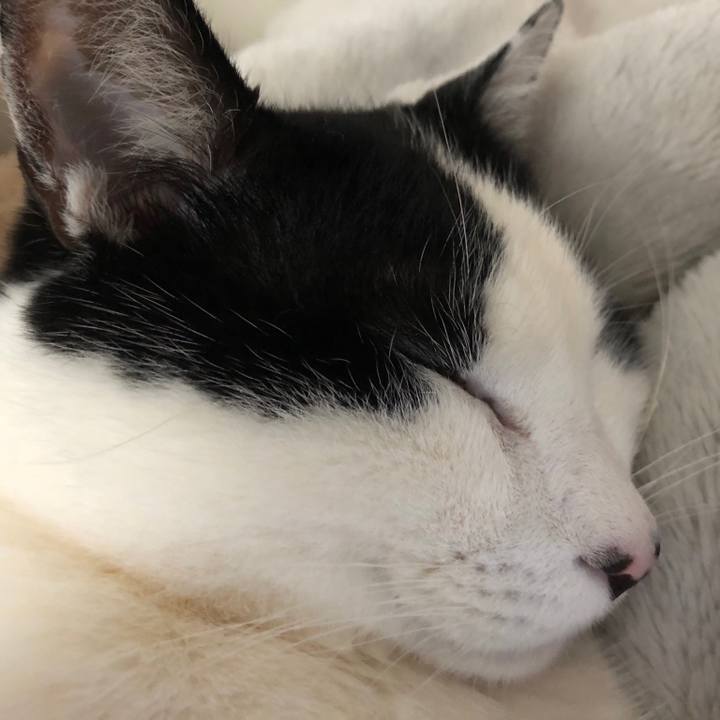 Ec3be95d 6142 4a83 a568 a77db5e94667 1550614363022