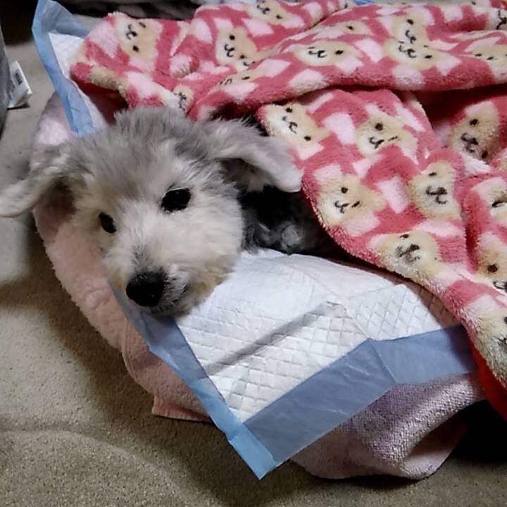 Ec3be976 ff41 421a 9057 b7edef7e542d 1669325578183