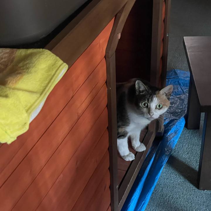 Ec3c1d8e 4421 4be0 8e4a ad1f47e2d481 1716019067292