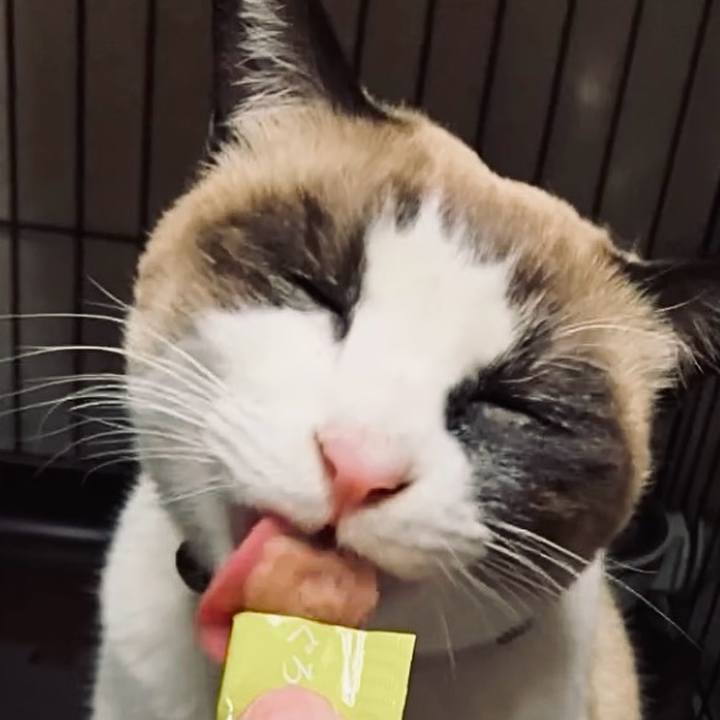 Ec3c345d 4d7d 4ecd 8961 6485f11f0c58 1734349462287