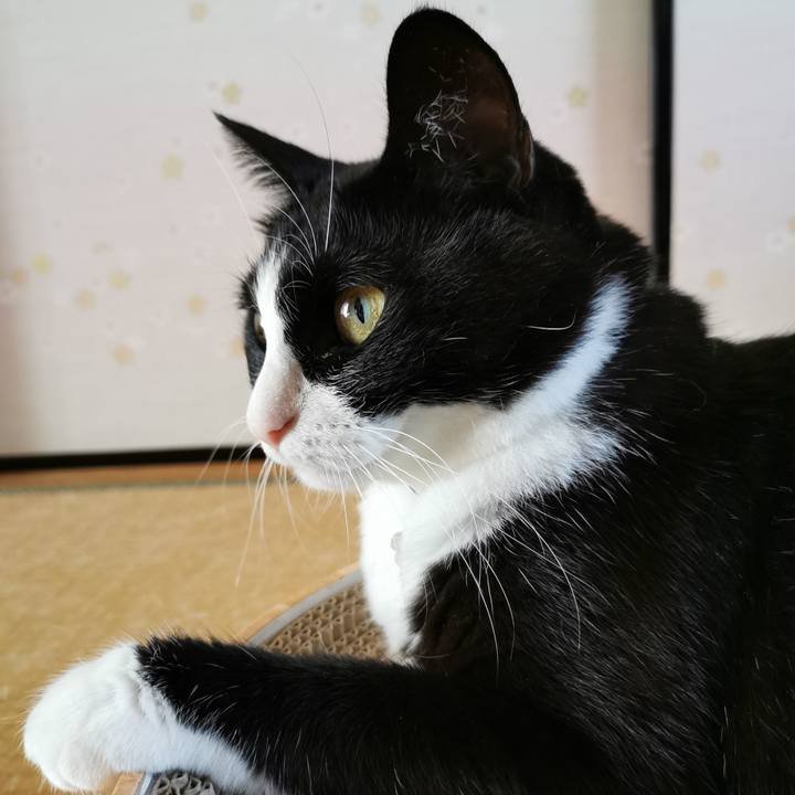 Ec3c4939 3f68 4461 846f 7774c989e037 1630554331527