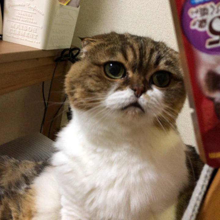 Ec3c5716 3c23 45d9 9d76 bbed897a7110 1540908181221