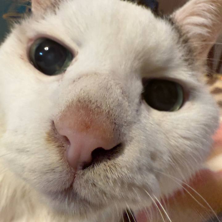 Ec3ca084 e2c9 49e9 a37e f13f8990c749 1762381997189