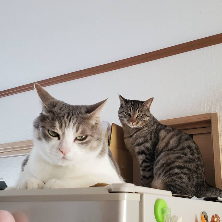 Ec3cbf44 5f49 4098 b1bf e7f9971b988f 1708790594338