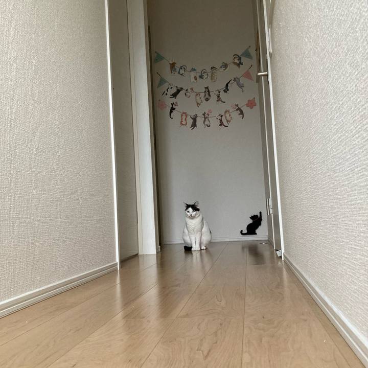 Ec3d3764 91df 4663 9b0a 1e8f4bb30453 1761005371557