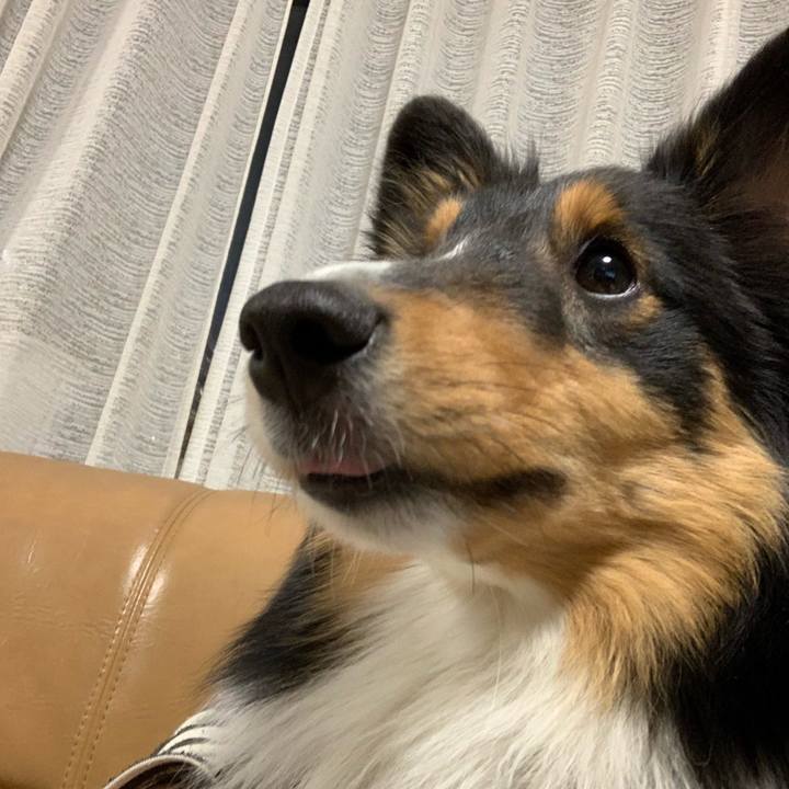 Ec3d4acd 37cc 46df 8767 3737c5fb445f 1550008364228