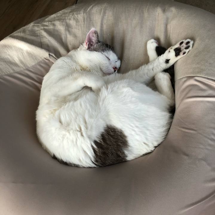 Ec3d4e1d 9bac 453f 867d a6e8bbec1b96 1610778791765