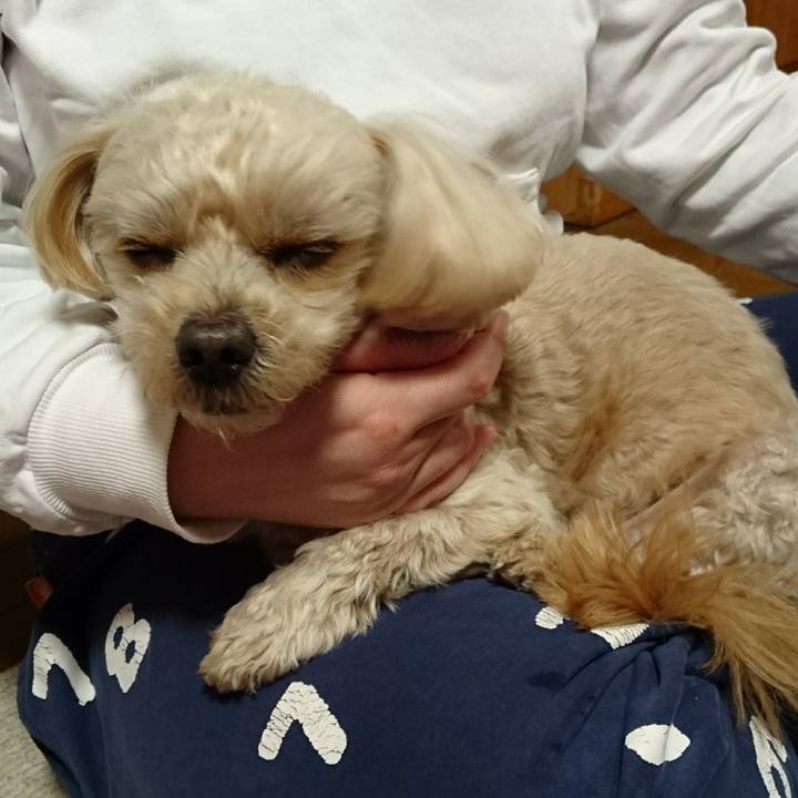 Ec3d6c29 aa71 4270 95ab 05c28c246b68 1580643956667