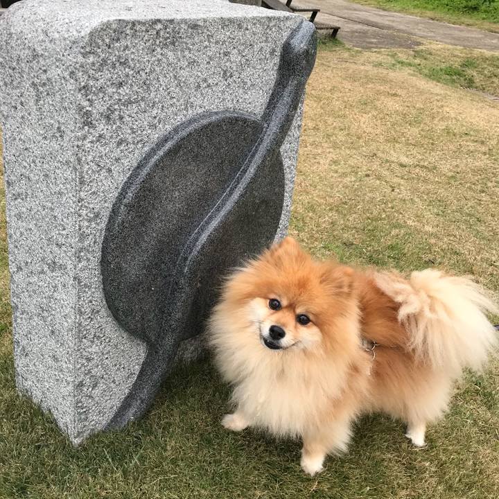 Ec3d6d50 b86f 4579 8590 37f53835ce68 1544235262624